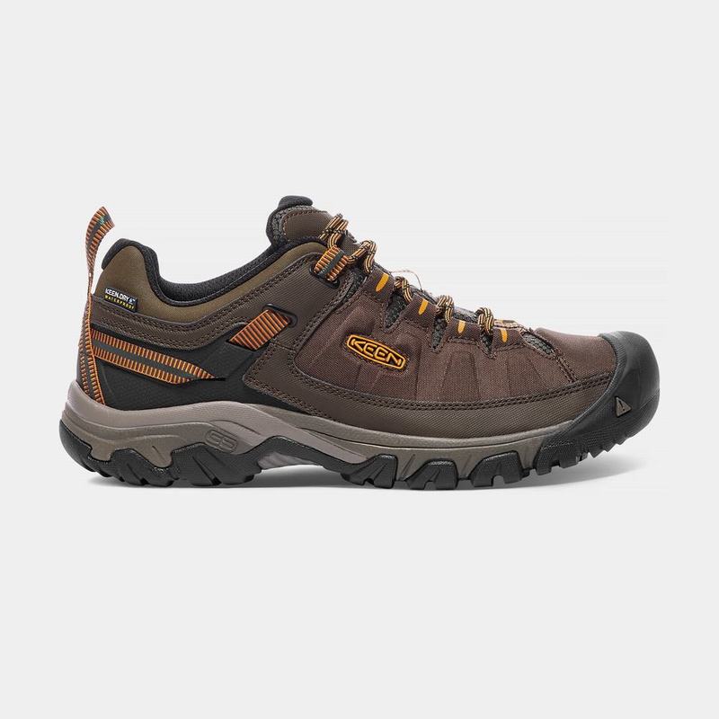 Keen 靴 | キーンターギーExpウォータープルーフ 登山 靴 メンズ ブラウン | 163950-XDB